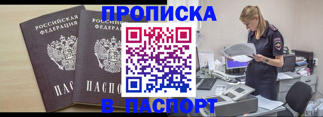 прописка законно в Сольцах