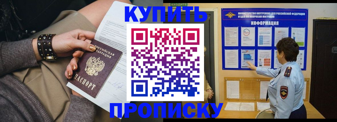 прописка в Сольцах